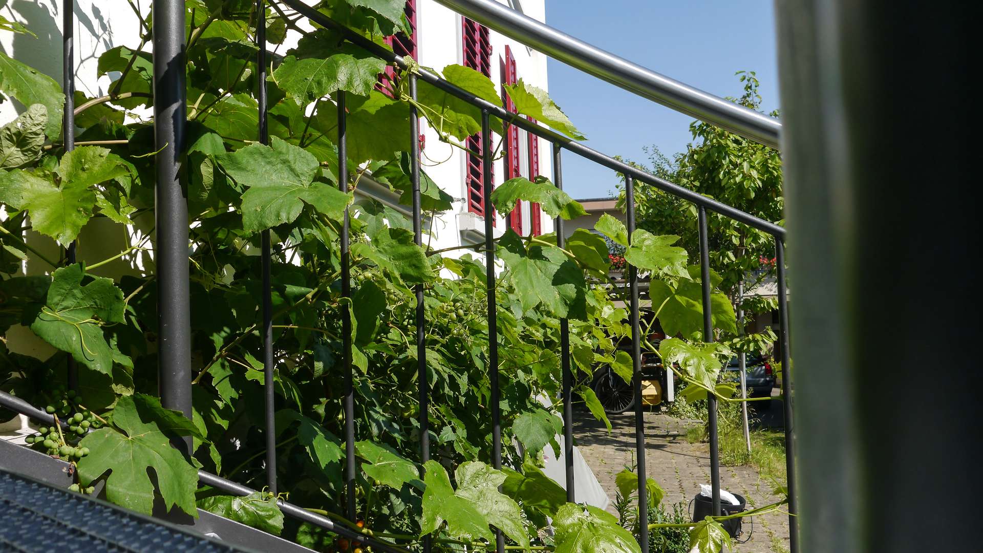 Scala a chiocciola Oberkirch