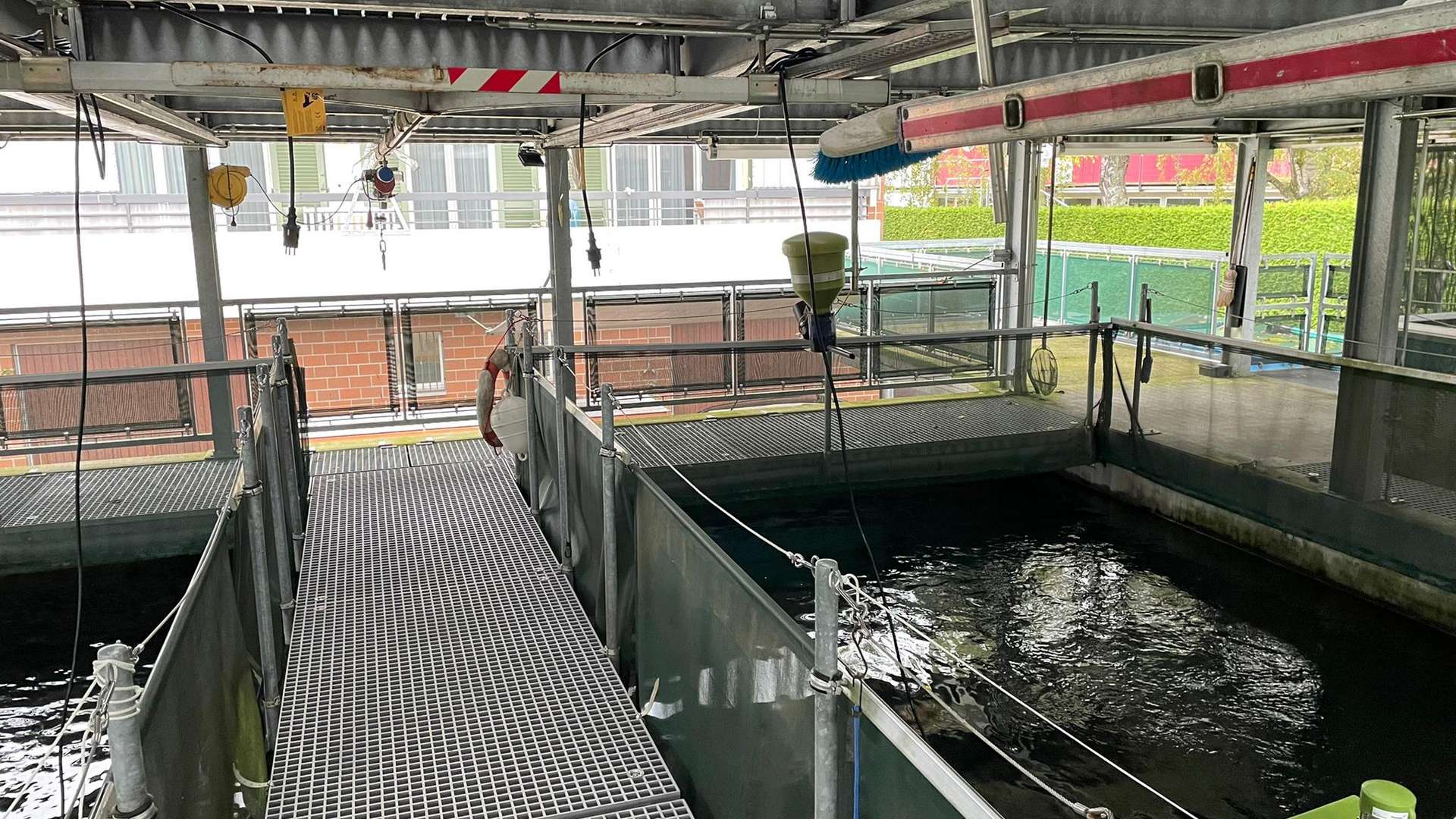 Pisciculture Romanshorn