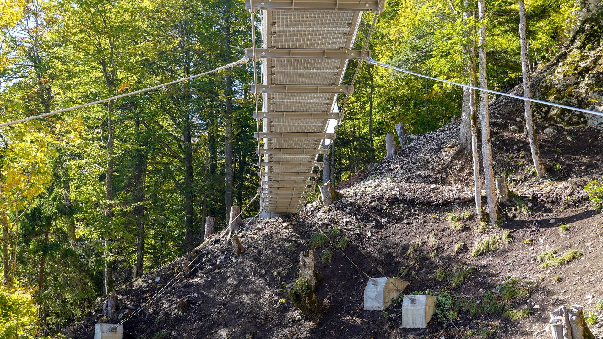 Passerelle suspendue de Balmberg