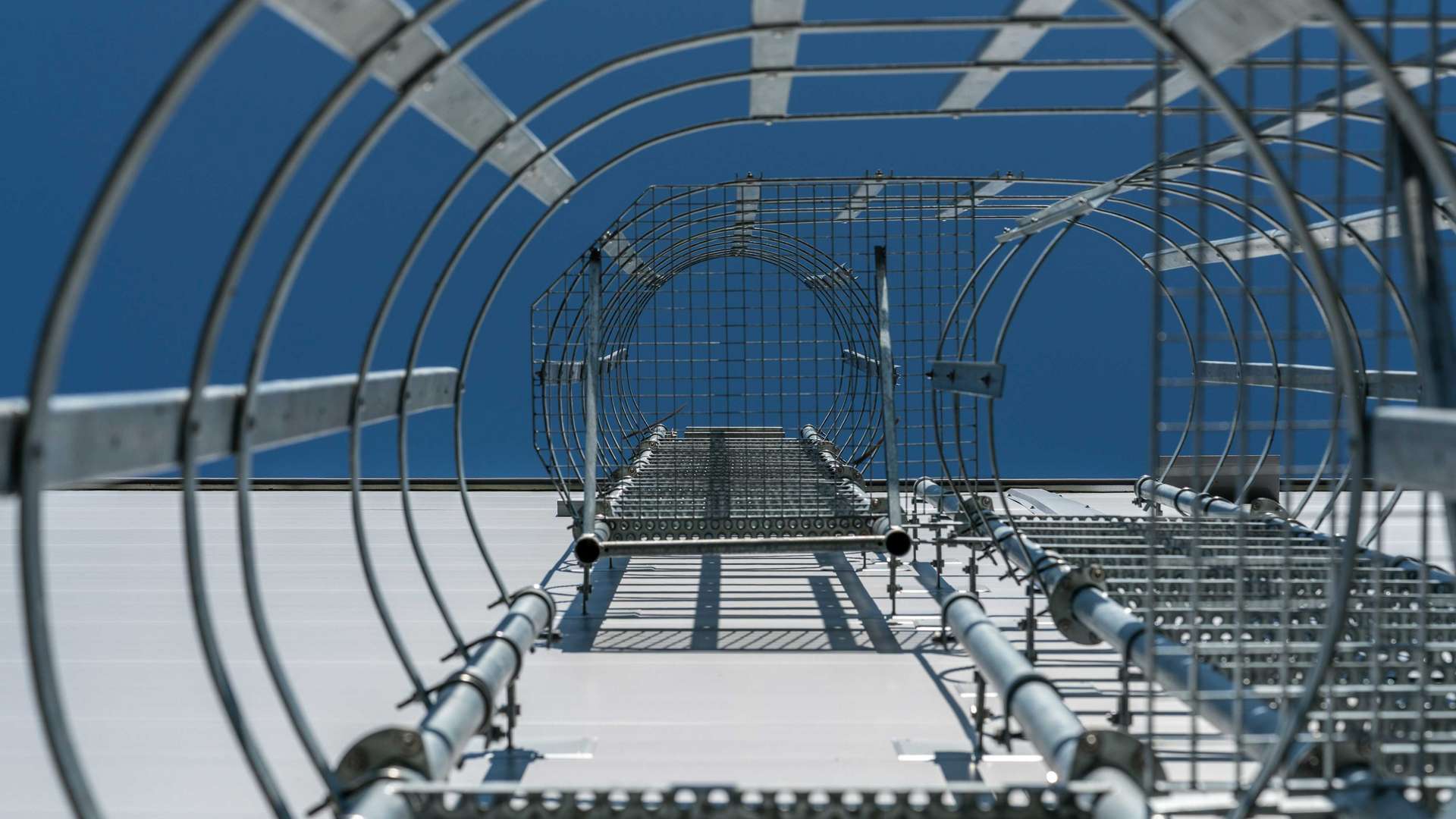 Échelle de sécurité Siegfried AG