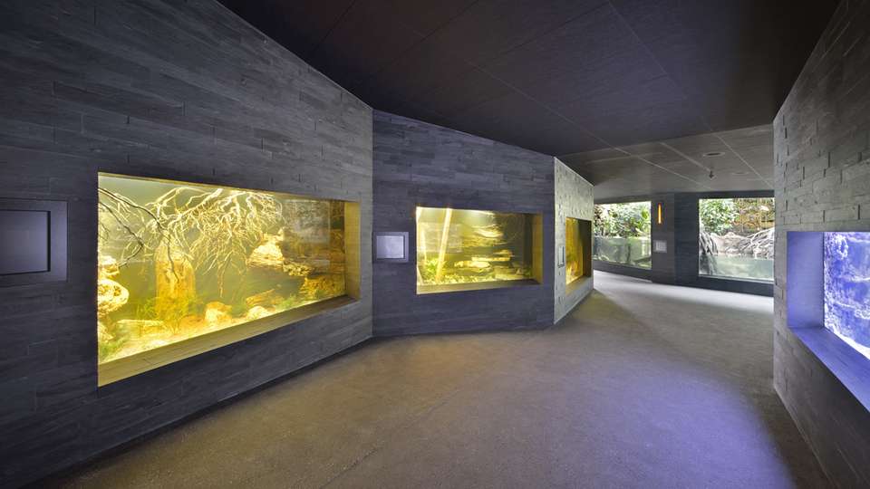 Aquarium de Zoo Zurich