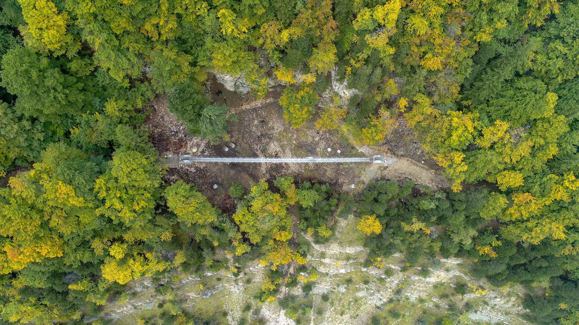 Passerelle suspendue de Balmberg