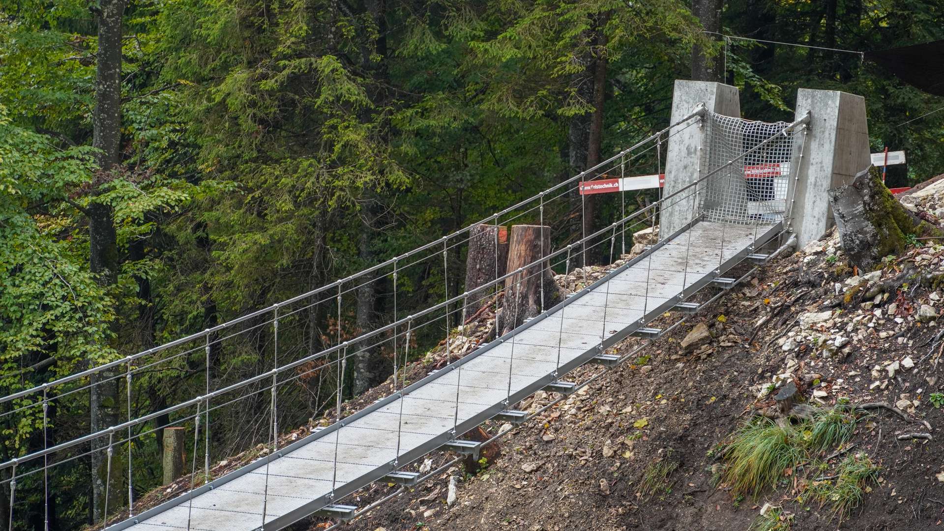 Passerelle suspendue de Balmberg
