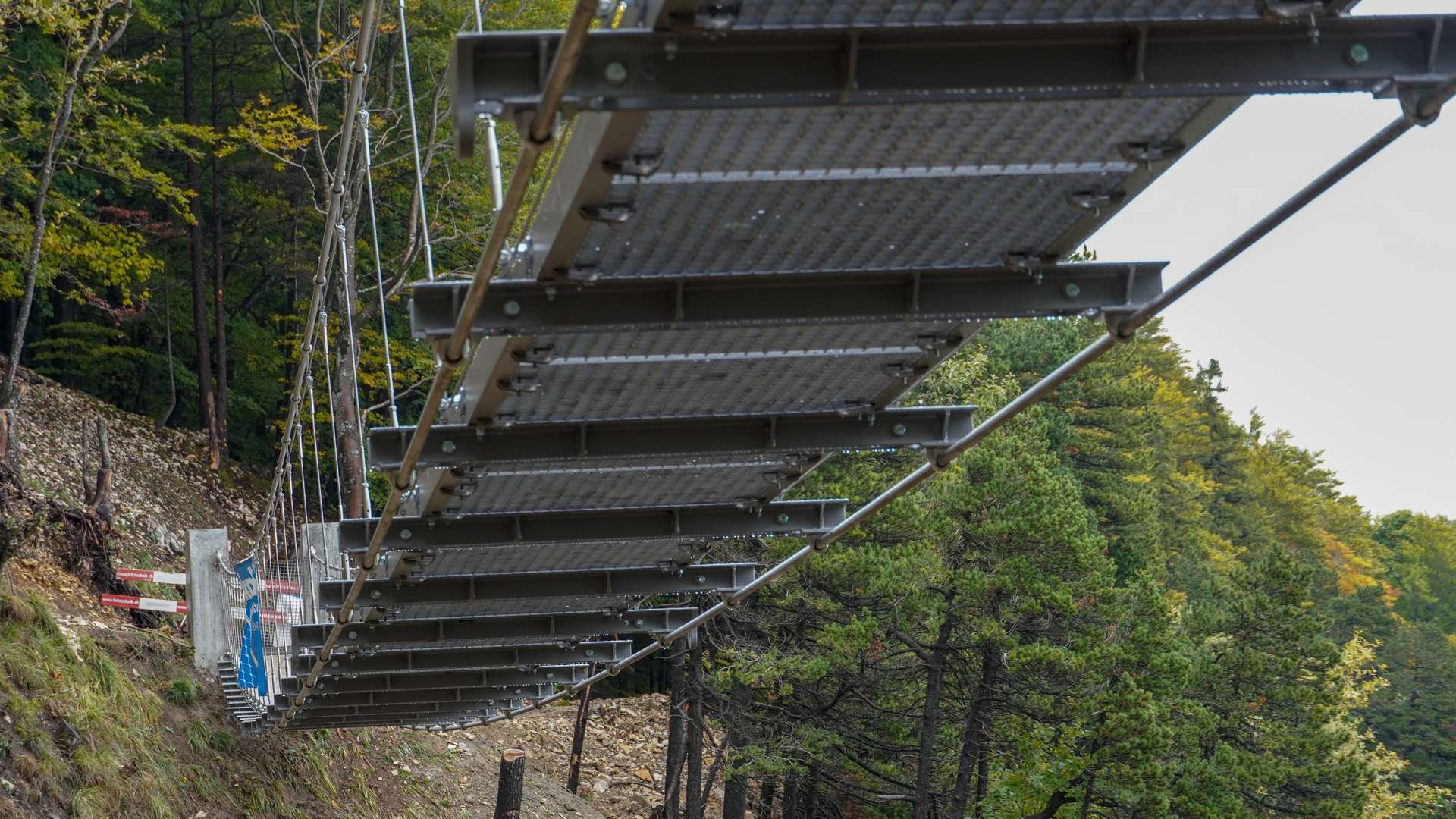 Passerelle suspendue de Balmberg
