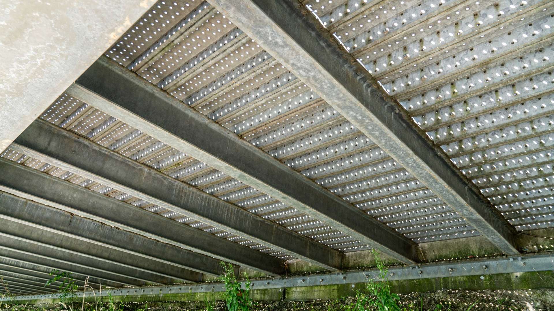 sprich_huehnermattdamm_2025_gallery_nr03