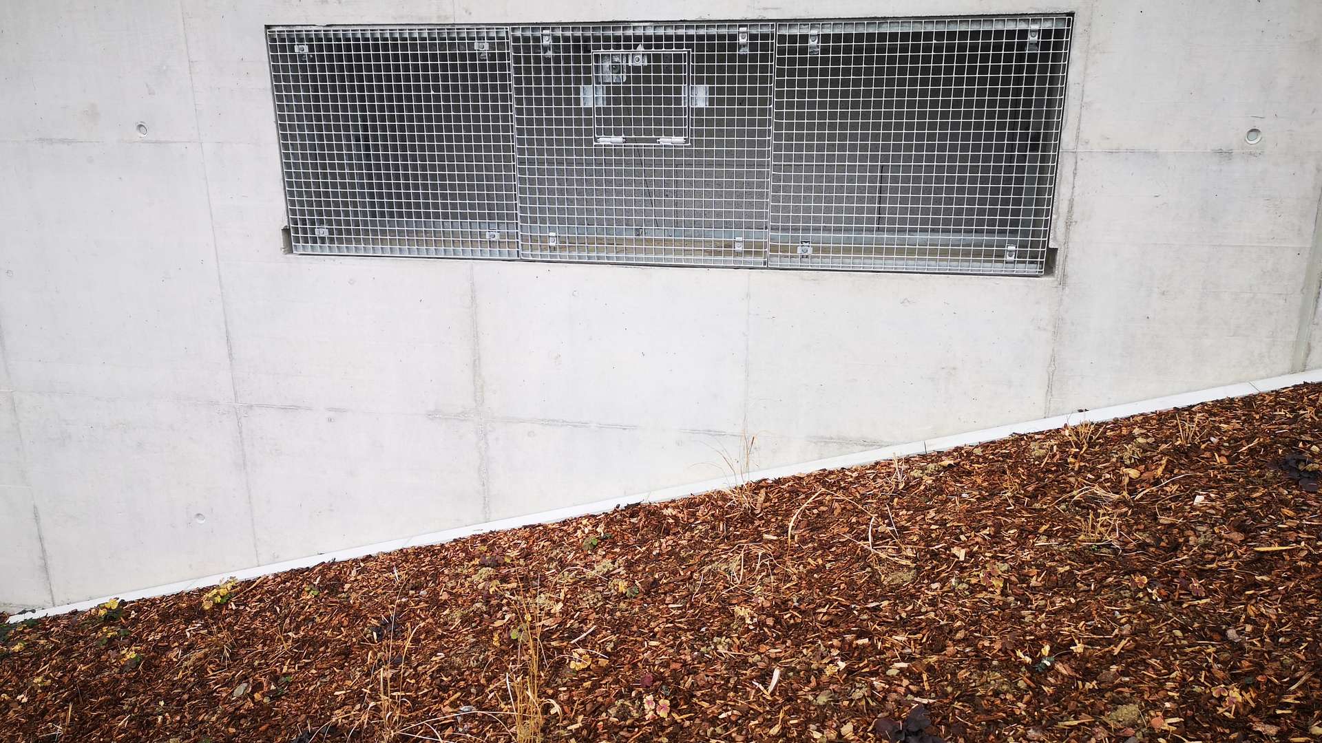 sprich_rauchklappen-schwyz_2025_gallery_nr03