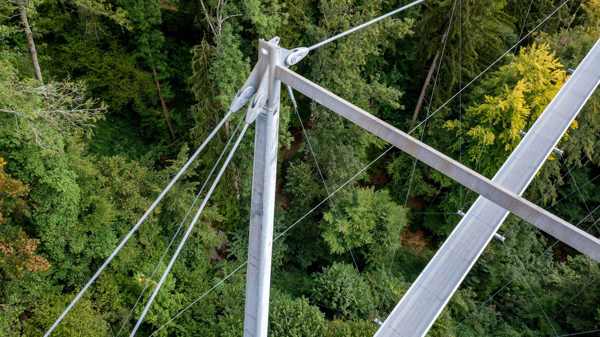 sprich_sigriswil-haengebruecke_2025_gallery_nr02