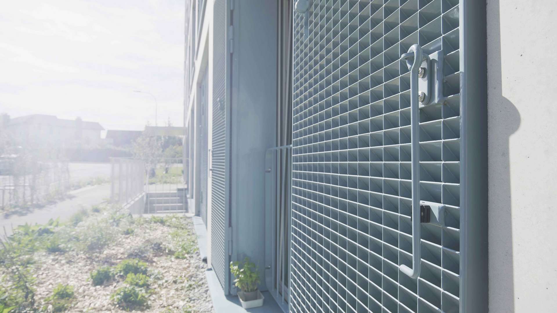 sprich_tectus-fassade_2025_gallery_nr03