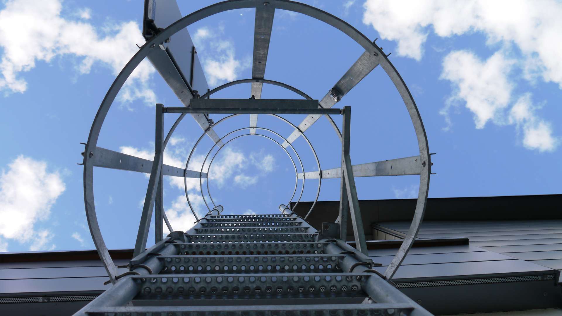 sprich_lidl-steigleitern_2025_gallery_nr06