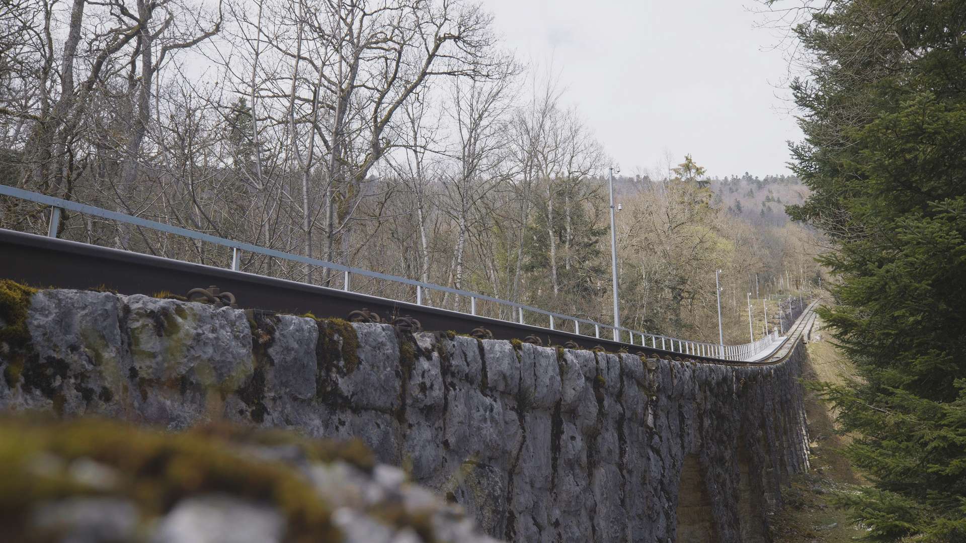 Pressroste_Chaumont (8)