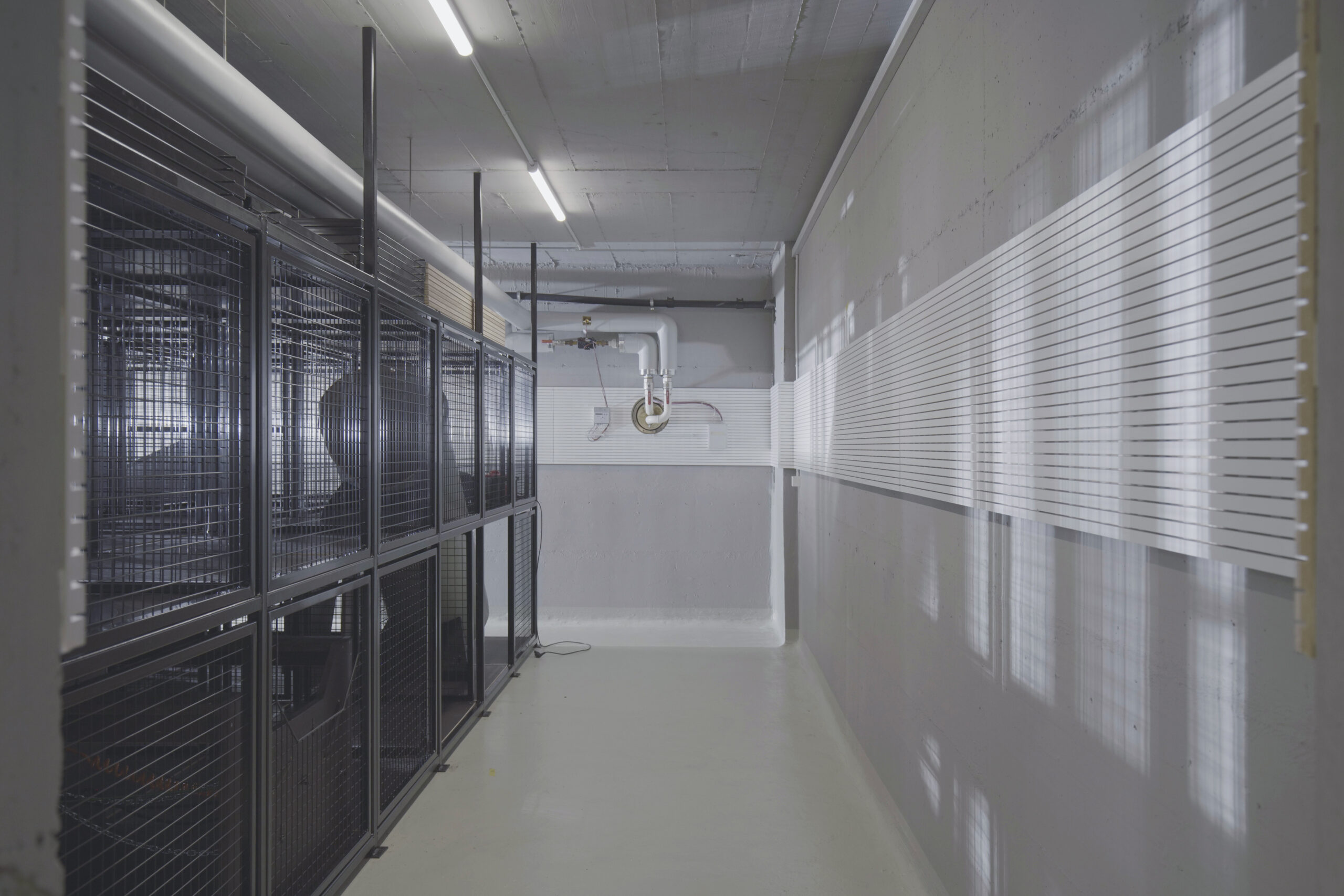 Punktschweissgitter_Feuerwehr Altstätten (2)