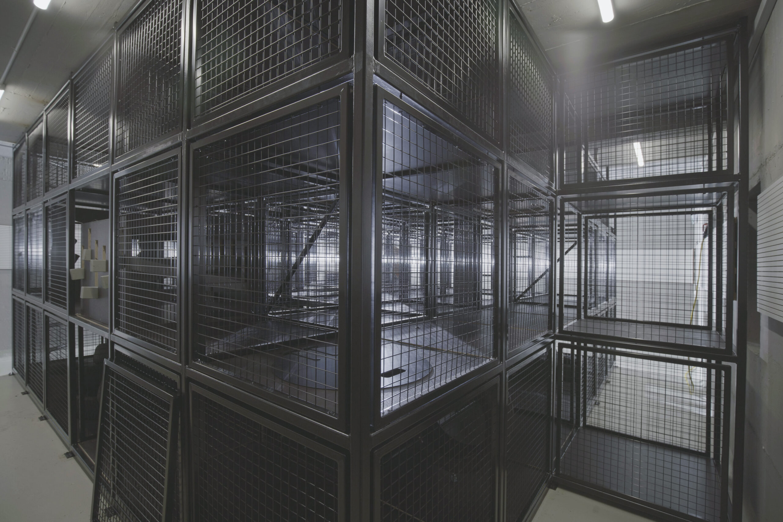 Punktschweissgitter_Feuerwehr Altstätten (22)