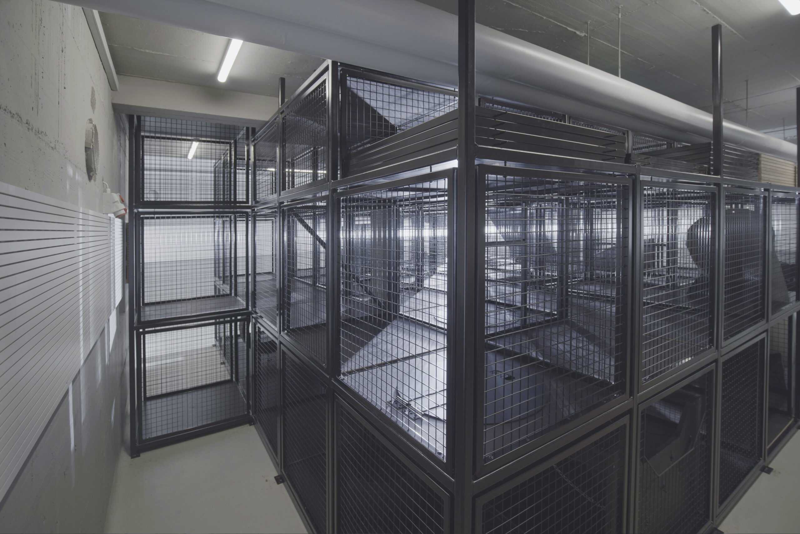 Punktschweissgitter_Feuerwehr Altstätten (5)