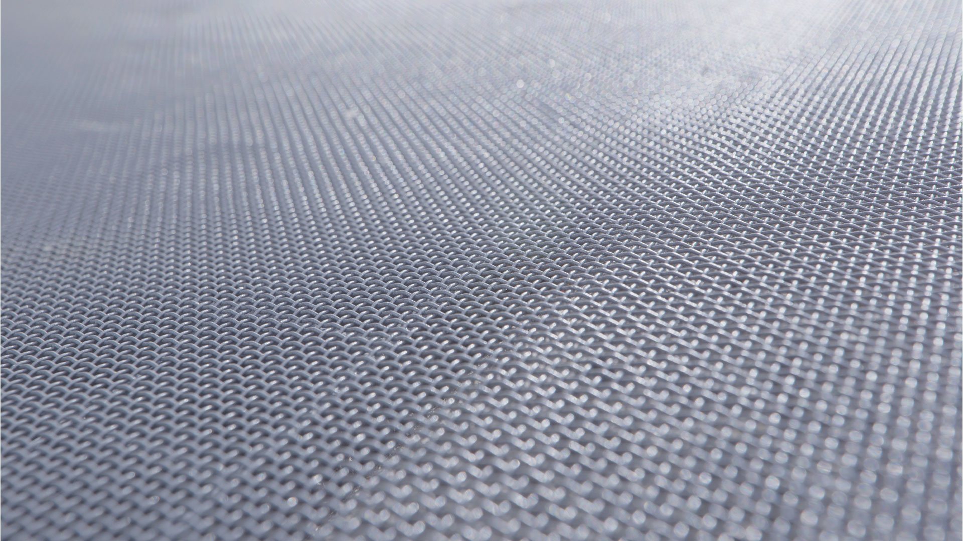 Insektenschutzgitte_Coop_Affoltern_am_Albis_3